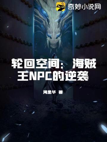 轮回空间：海贼王NPC的逆袭封面