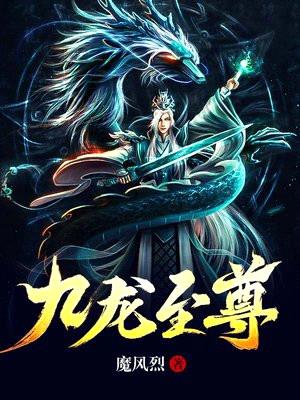 九龙至尊封面